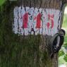 Pic Epeiche